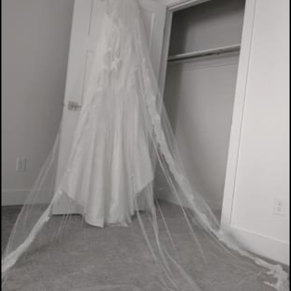 Veil - Picture 7 of 7